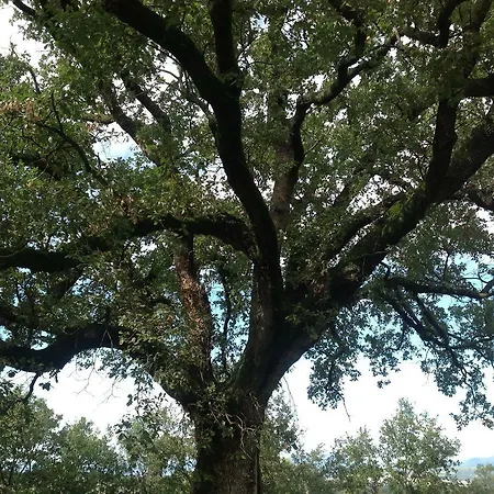 B&B La Quercia