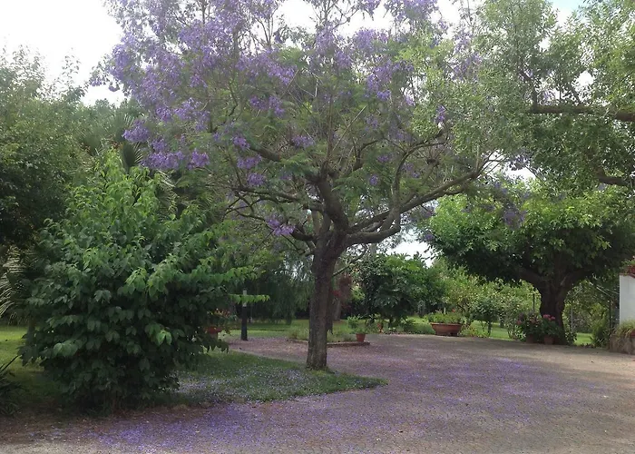 La Quercia Oda ve Kahvaltı 3*